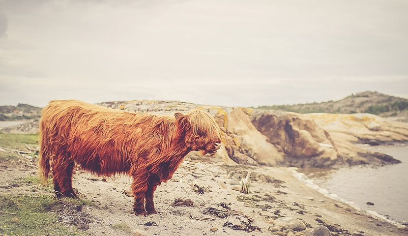 让经营更稳健的短信测压轰炸