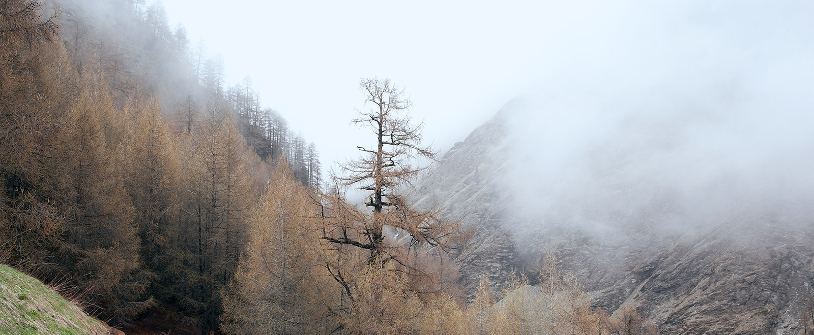 靠谱的充值渠道求的云呼死你网页版